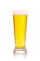 glass of beer on a white background