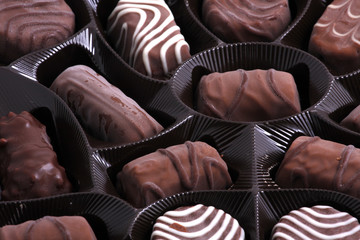 Delicious chocolate pralines