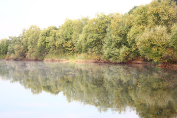 blue lake with colorful wood