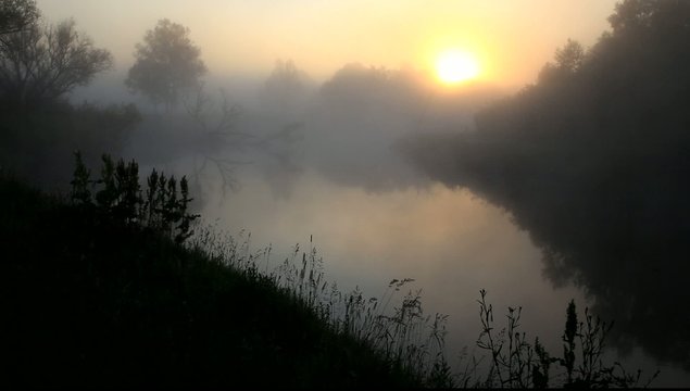 Fog, the river, landscape