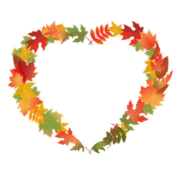 Autumn Leaves In Form Of Heart