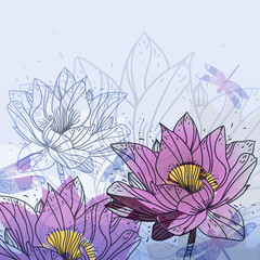 hand-drawn background with gentle waterlilyes - 26704935