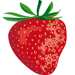fragole