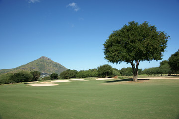 Fototapeta na wymiar Sport Golf 14
