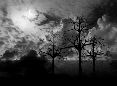 3d night landscape with trees