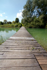 view on the lake on sunny day