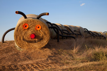 Disguised hay © hroephoto