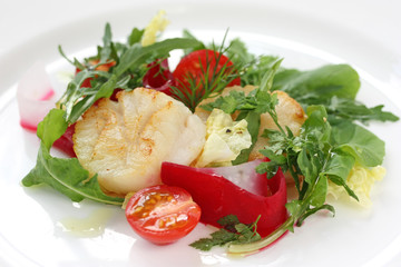 Scallop Salad