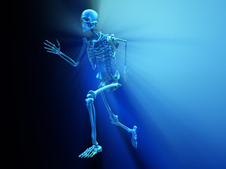Obraz na płótnie Canvas Skeleton running