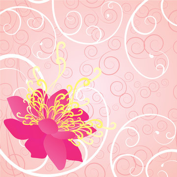 Pink flower floral background