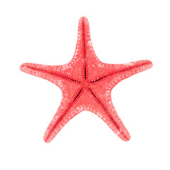 Red starfish