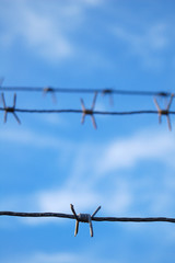 Barbed Wire