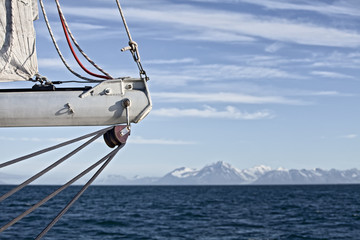 Tranquil sailing in svalbard