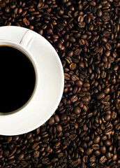 Cup of Coffee on coffee beans