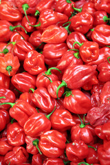 Obraz na płótnie Canvas Red peppers