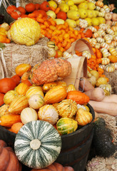 Autumn pumpkins and gourds display