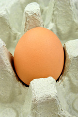 frisches Ei in einer Verpackung