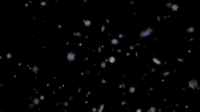 HD - Snow flakes Black Background