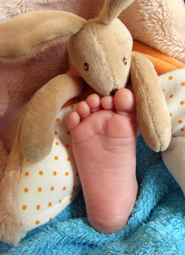 pied de b&eacute;b&eacute; et doudou