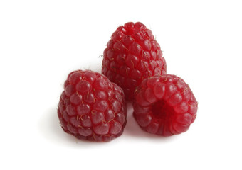 Raspberry on white background