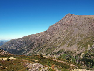 Highland Altai, mountain Altai, August, 2010 8