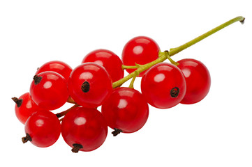Red currant berries, isolated on a white background