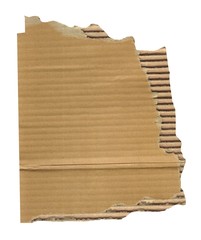 torn cardboard