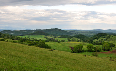 Green spring landscape
