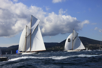 Fototapeta premium Voiles de Saint-Tropez