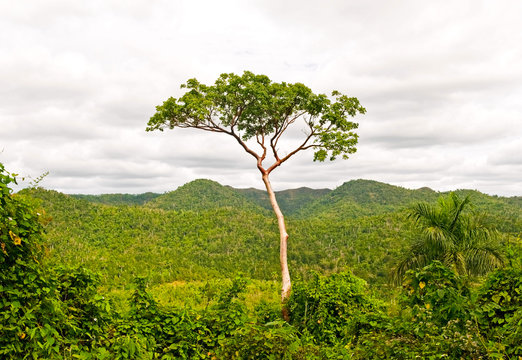 Las Terrazas National Park, Cuba