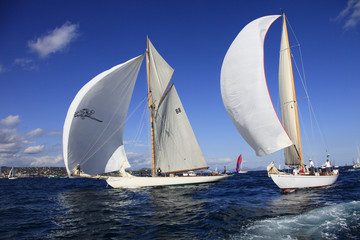 Naklejka premium Voiles de Saint-Tropez