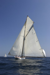 Fototapeta premium Voiles de Saint-Tropez