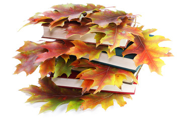 Books with golden autumn leaves