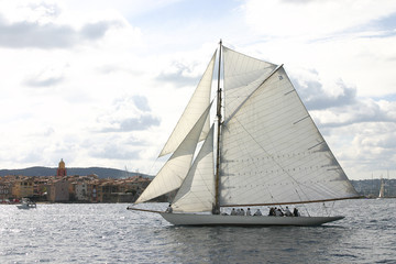 Obraz premium Voiles de Saint-Tropez