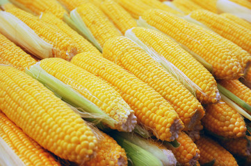 close up of corn on market stand