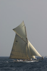 Fototapeta premium Voiles de Saint-Tropez