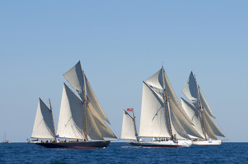 Fototapeta premium Vele D'epoca Imperia 092010 trofeo Panerai