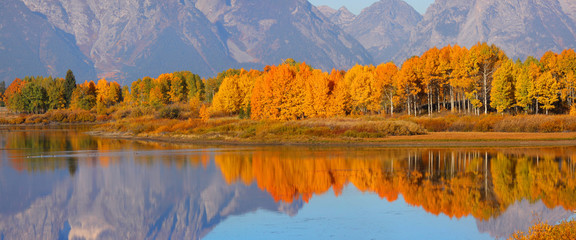 Reflection of colorful Aspen trees in Autumn time