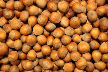 Fond noisettes