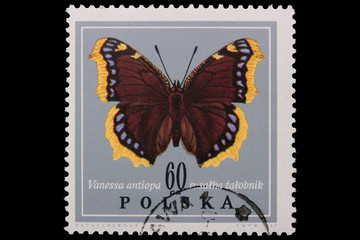 Poland - CIRCA 1967: A stamp - Vanessa antiopa