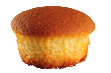 Sponge cake. Isolated
