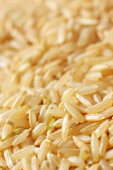 Brown rice grains