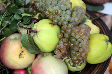 Autumn Harvest. Ripe apples and bunch of grapes