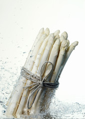 Spargel