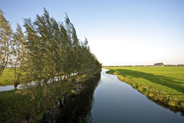 Fototapeta na wymiar Typical dutch landscape: Water, fields and trees