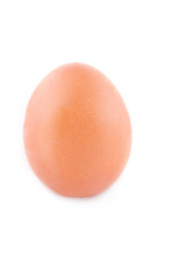 Brown egg isolated
