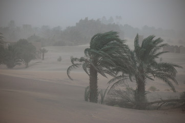 Sandsturm in der Sahara, Marokko
