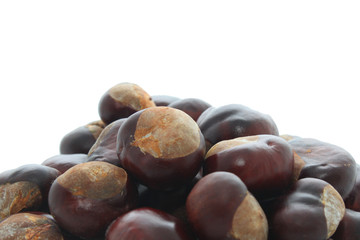 Obraz premium Tas de marrons