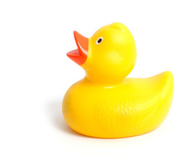 Rubber duck