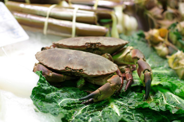 Crab